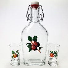 Set vector transparent cu motiv de fruct 1x sticlă + 2x pahar pentru tărie