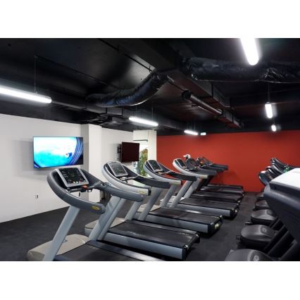 Sinclair - Corp de iluminat tehnic LED/45W/230V 4000K IK08 IP66