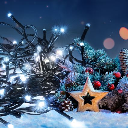 Ghirlandă LED pentru exterior, 100 LED, 8 funcții, 13 m, IP44, alb rece