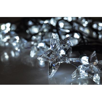 LED Lanț de crăciun 3m 20xLED/230V