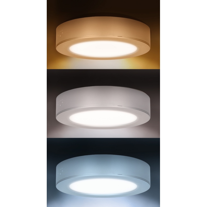 Panou LED 2 în 1 aplicat/încastrabil, 12 W, 230 V, selectabil 3000/4000/6000 K, Ø17 cm, IP54, alb