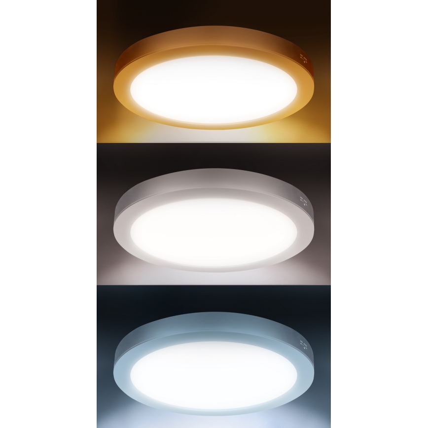 Panou LED 2în1 pentru montaj aparent/încastrat, 18W, 230V, 3000/4000/6000K, Ø 22,5 cm, IP54, argintiu