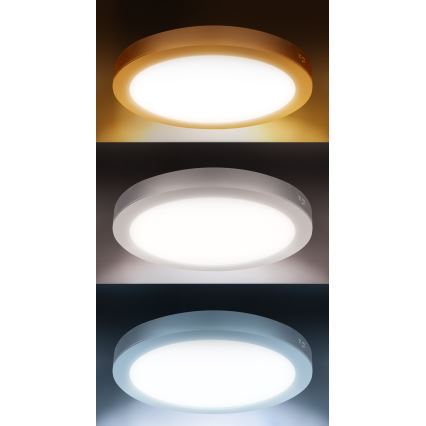 Panou LED 2-în-1 pentru montare aplicată/încastrată 24W/230V 3000/4000/6000K Ø 30 cm IP54 alb