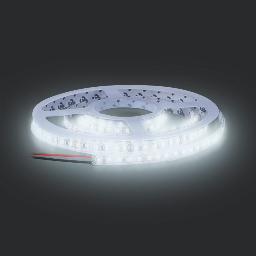 Bandă LED 5 m, 50 W, 12 V, alb rece