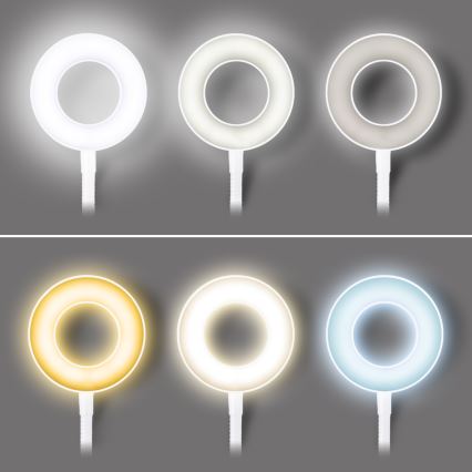 Lampă de birou LED cu clemă și reglaj de intensitate, LED/8W/230V 3000/4000/5000K albă