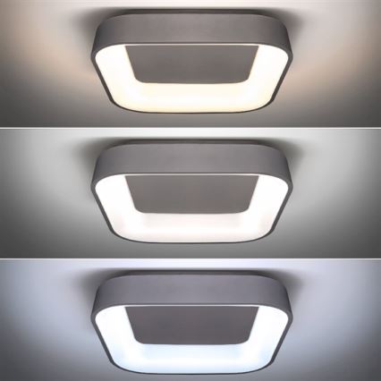 Plafonier LED dimabil TREVISO LED/48W/230V cu telecomandă