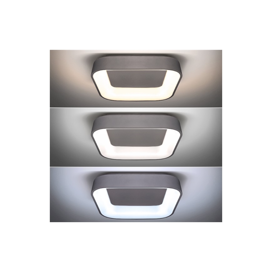 Plafonier LED dimabil TREVISO LED/48W/230V cu telecomandă