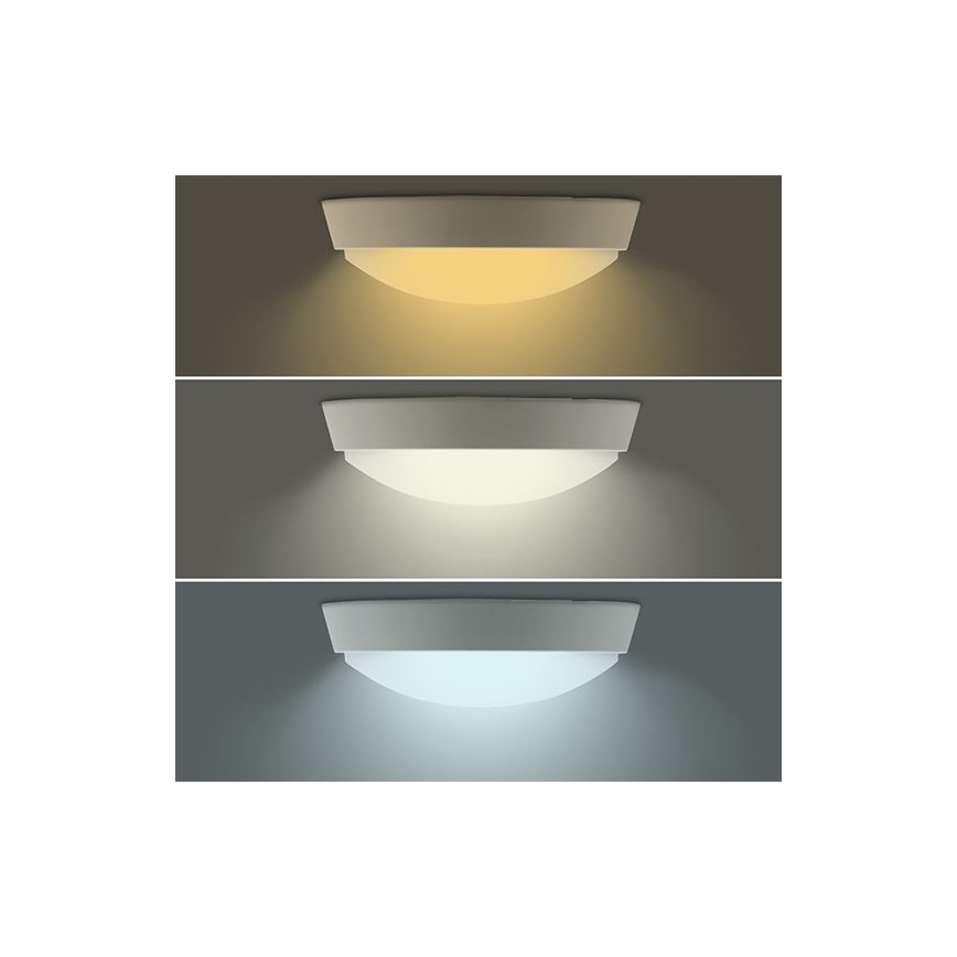 Aplică LED de exterior 2-în-1, 20 W, 230 V, 3000/4000/6500 K, IP65, diametru 22 cm