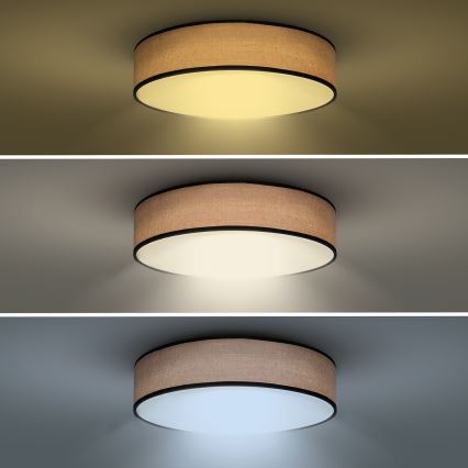 Plafonier LED dimabil BROWNIE LED/60W/230V 3000-6500K maro, diametru 50 cm + telecomandă