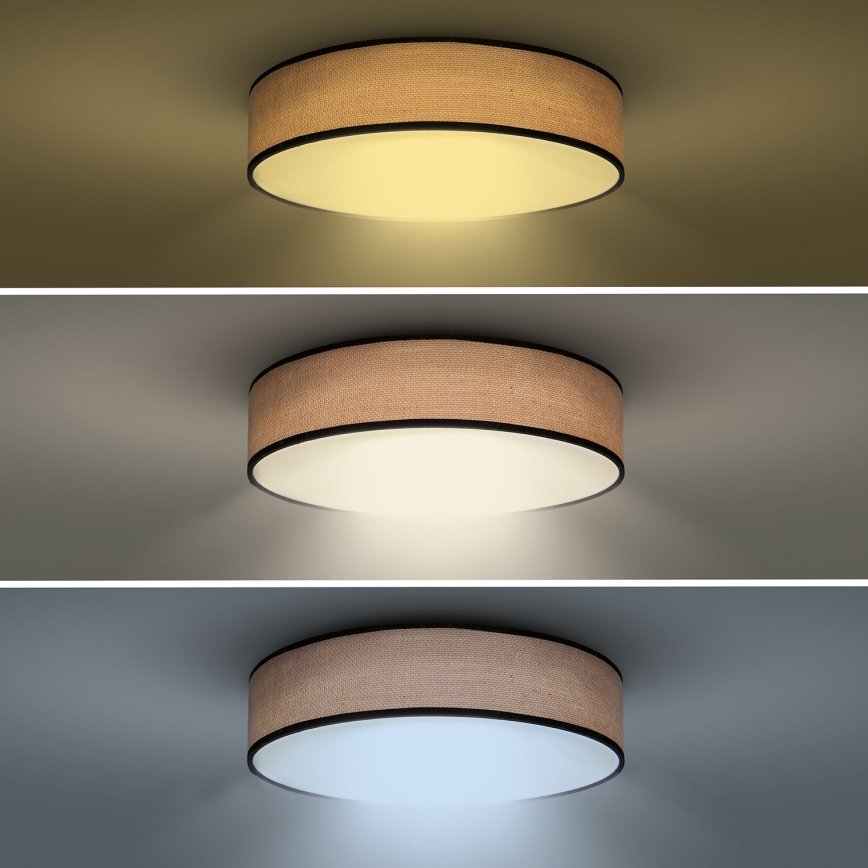 Plafonier LED dimabil BROWNIE LED/60W/230V 3000-6500K maro, diametru 50 cm + telecomandă