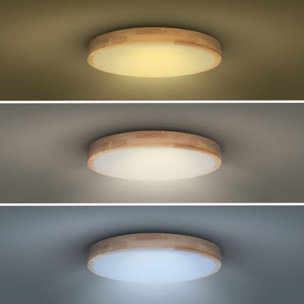 Lumină de plafon LED dimabilă SOLID OAK LED/48W/230V 3000-6500K stejar Ø 39 cm + telecomandă