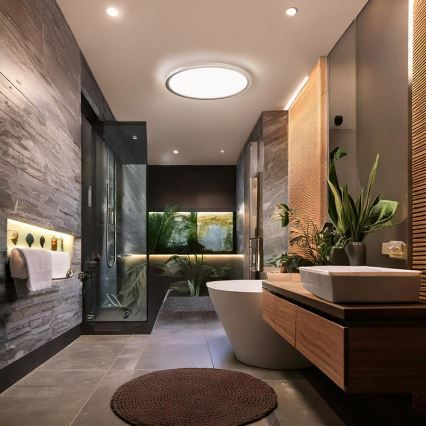 Plafonieră LED pentru baie ACATE, 18W/230V, 3000/4000/6000K, Ø 22 cm, IP54