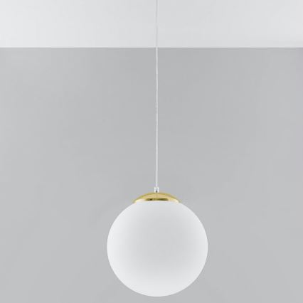Lustră suspendată pe cablu TOYA 1xE27/60W/230V Ø 30 cm alb/auriu