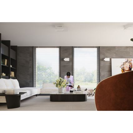 Plafonieră LAPPO 2xE27/15W/230V alb