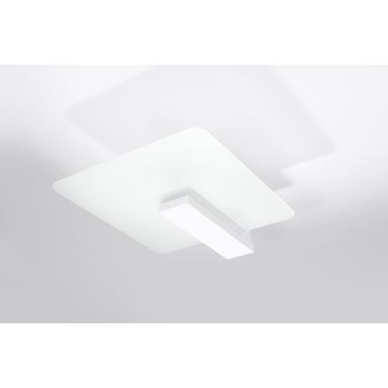 Plafonieră LAPPO 2xE27/15W/230V alb