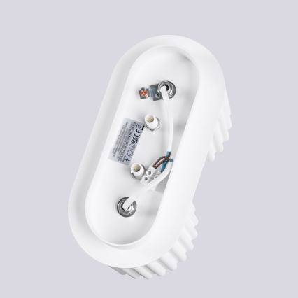 Spot AURA 2xGU10/10W/230V alb