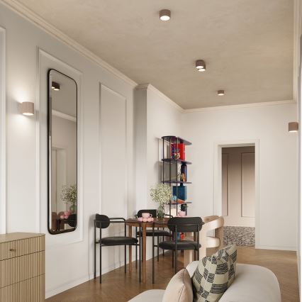 Corp de iluminat tip spot AURA 2xGX53/10W/230V taupe