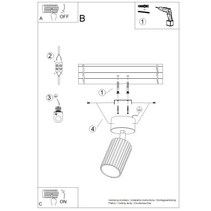 Corp de iluminat tip spot KARBON 1xGU10/10W/230V alb