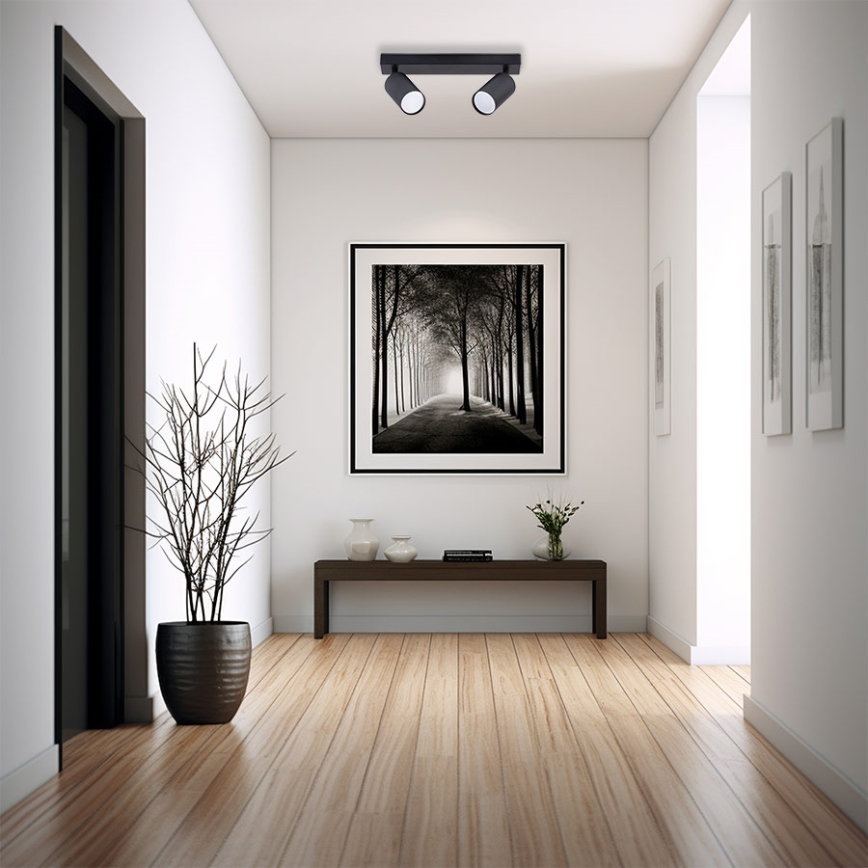 Spot 2xGU10/35W/230V negru