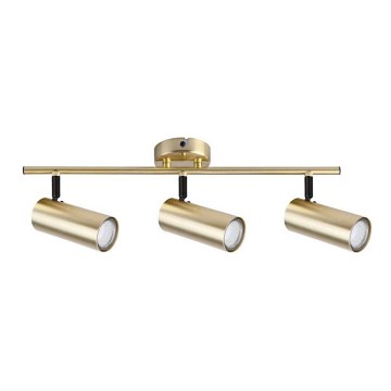 Spot COLLY 3xGU10/15W/230V auriu