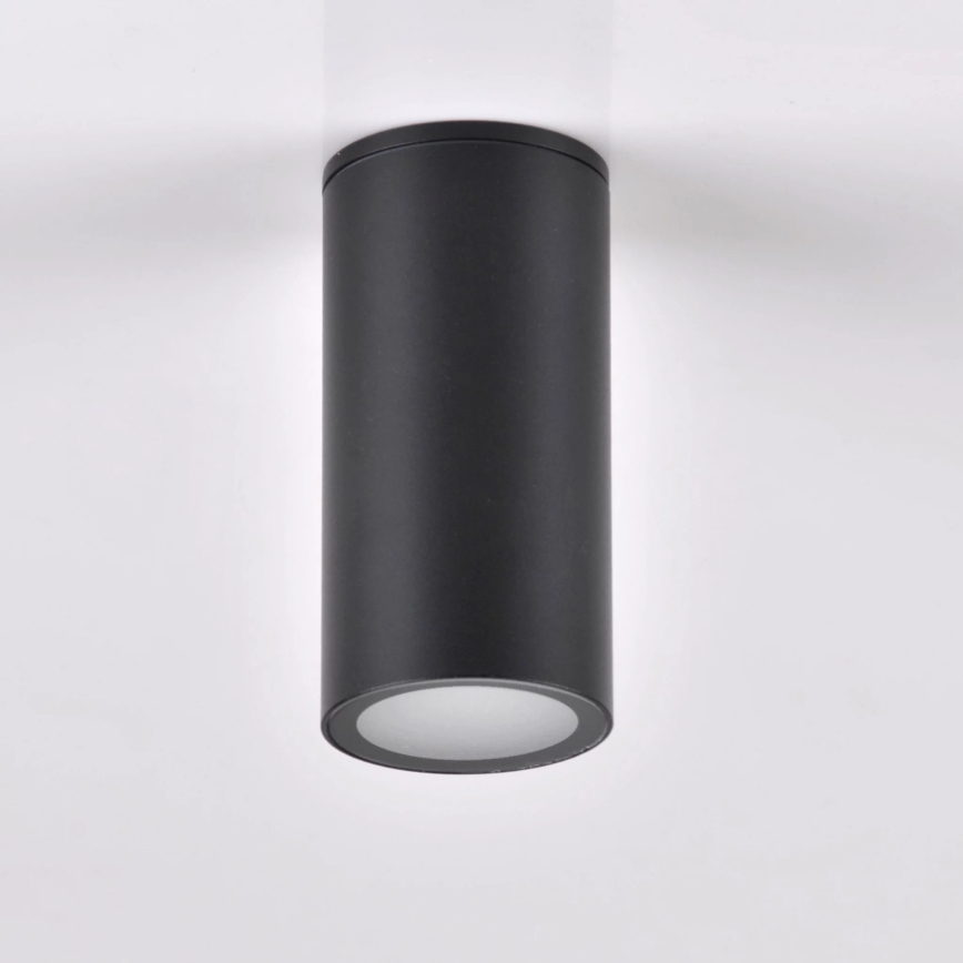 Spot de exterior ATLANTA 1xGU10/10W/230V IP54