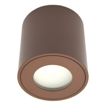 Spot de exterior FARA 1xGU10/30W/230V IP54 maro