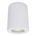 Spot de exterior FAUSTO 1xGU10/40W/230V alb ITALUX