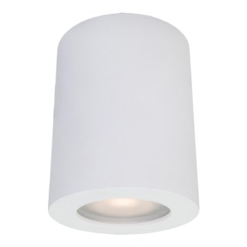 Spot de exterior FAUSTO 1xGU10/40W/230V alb ITALUX