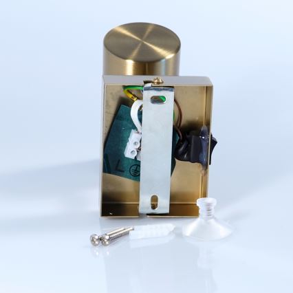 Spot de perete Globo 1xGU10/25W/230V