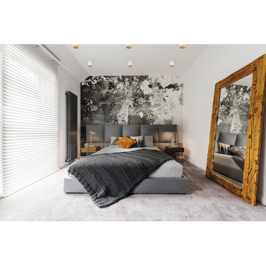 Spot de tavan RITI GU10/25W/230V