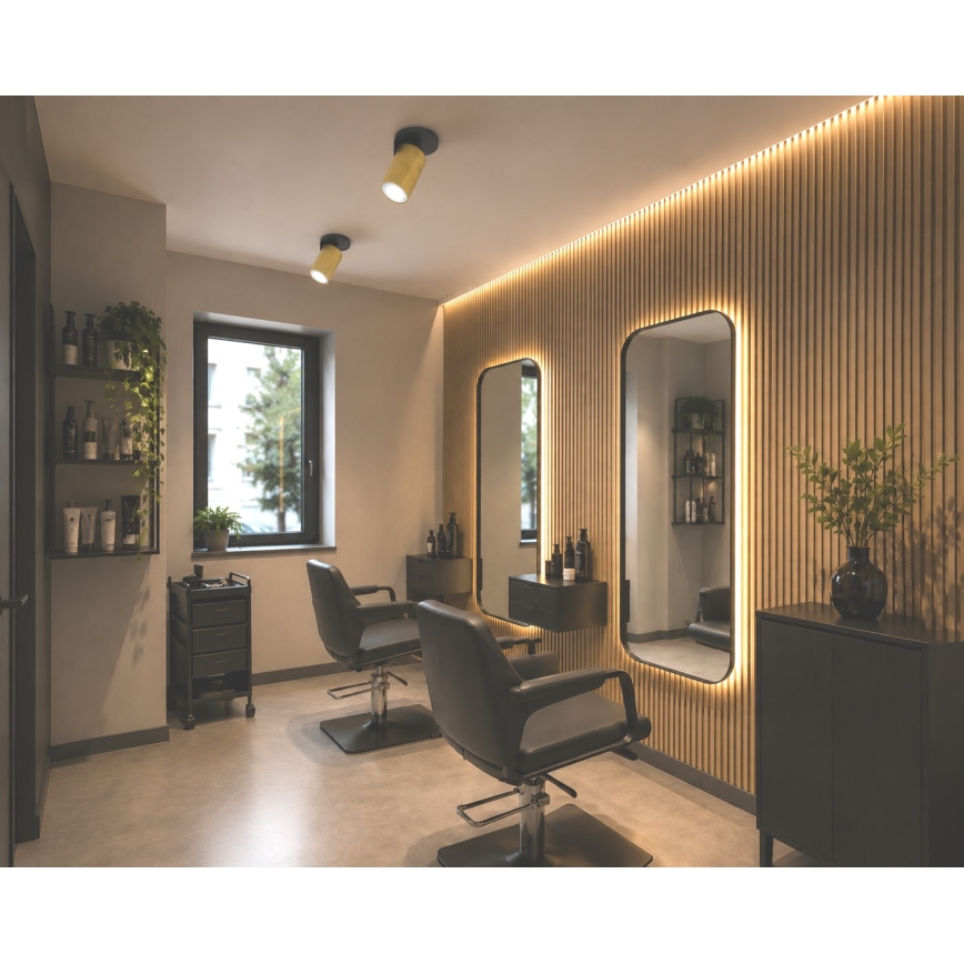 Spot ELAN 1xGU10/30W/230V auriu/negru