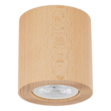 Spot EVE 1xGU10/10W/230V fag