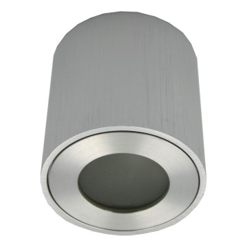 Spot exterior FARA 1xGU10/30W/230V IP54 argintiu