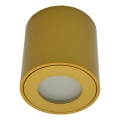 Spot exterior FARA 1xGU10/30W/230V IP54 auriu
