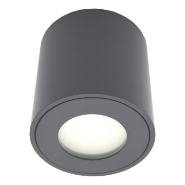 Spot exterior FARA 1xGU10/30W/230V IP54 negru