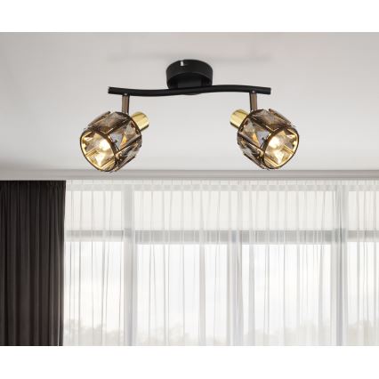 Spot Globo 54357-2 INDIANA 2xE14/40W/230V
