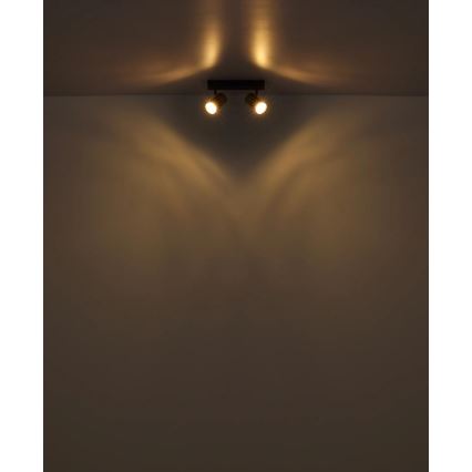 Spot Globo 2xGU10/25W/230V