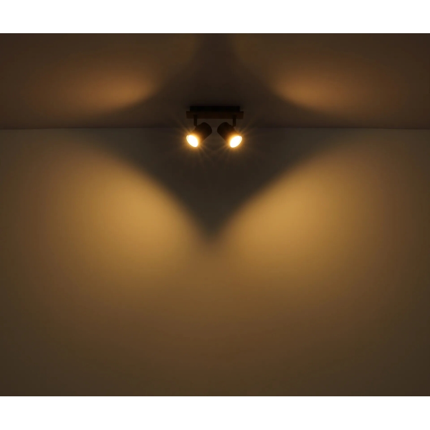 Spot Globo 2xGU10/35W/230V