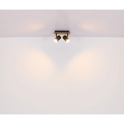 Spot Globo 2xGU10/35W/230V