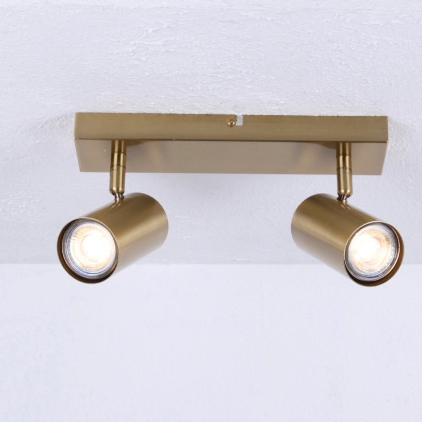 Spot Globo 2xGU10/35W/230V