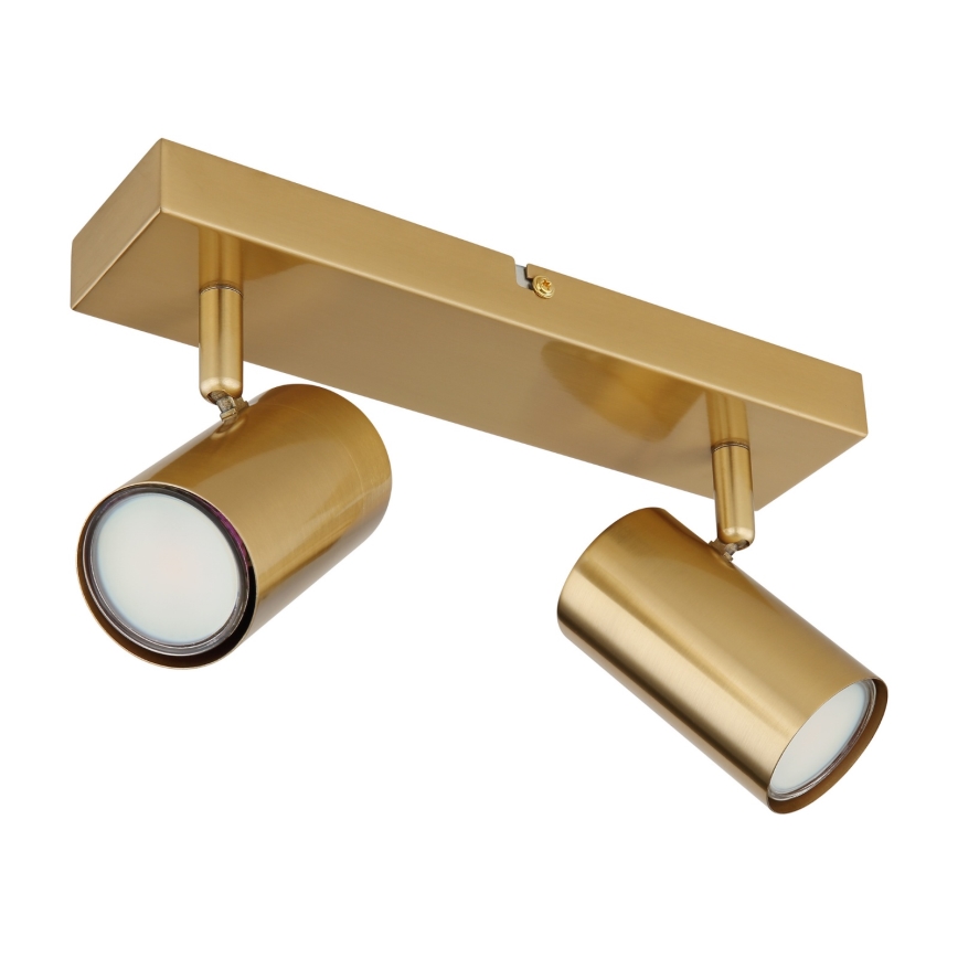 Spot Globo 2xGU10/35W/230V