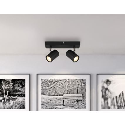Spot Globo 2xGU10/25W/230V negru