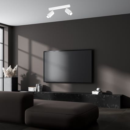 Spot HUDSON 2xGU10/8W/230V alb