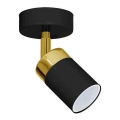 Spot JOKER 1x GU10/25W/230V negru/auriu