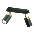 Spot JOKER 2xGU10/25W/230V verde/auriu