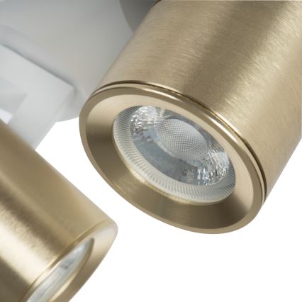 Spot LAURIN 3xGU10/10W/230V alamă/alb