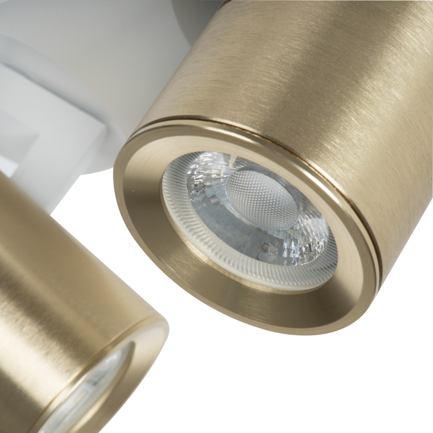 Spot LAURIN 3xGU10/10W/230V alamă/alb