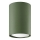 Spot LAGOS 1xGU10/10W/230V 10 cm verde