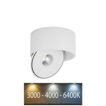 Spot LED/20W/230V 3000/4000/6400K CRI 90 alb