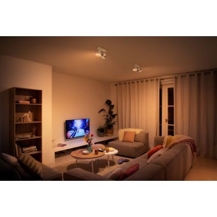 Spot LED BUKKO 2xLED/4,5W/230V Philips 50602/31/P0